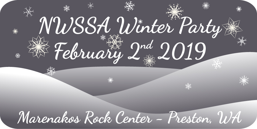 nwssa Winter Party 2019