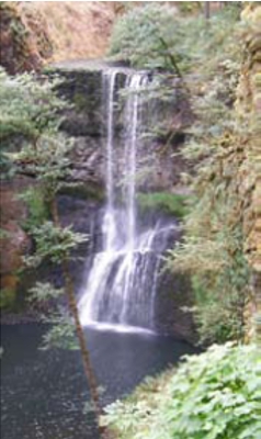 silverfalls