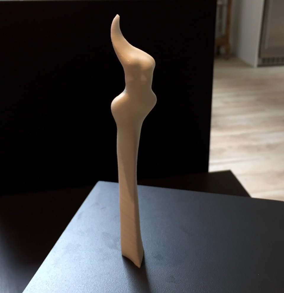 Maquette made on 3D Printer using Digistal Design